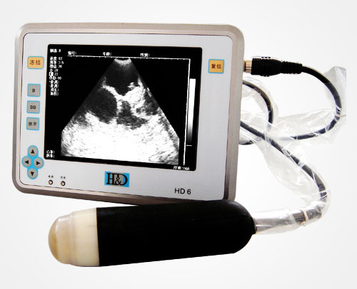 Máy siêu âm thai động vật